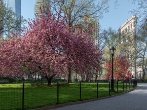 212 5th Avenue 16B, New York NY 10010