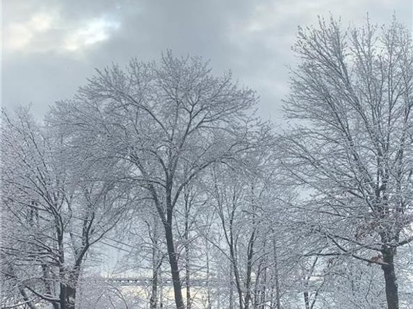 9437 Shore Road 1A, Brooklyn NY 11209