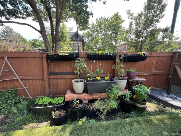 1233 N Ogden Street 503, Denver CO 80218