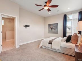 6735 Avrum Drive, Denver CO 80221