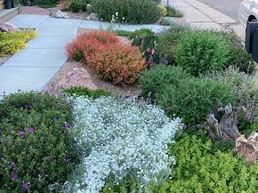 1621 Salvia Street, Golden CO 80401