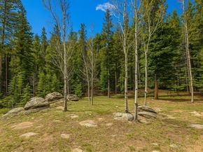 33606 Gap Road, Golden CO 80403