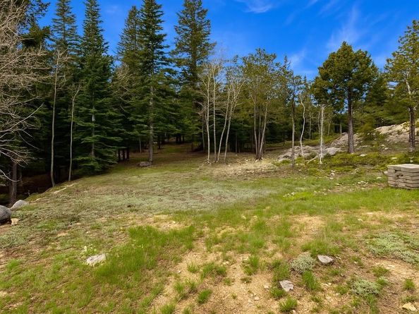 33606 Gap Road, Golden CO 80403