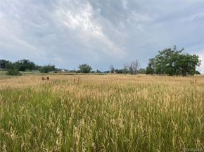 12380 York Street, Thornton CO 80241