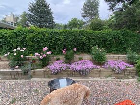 5790 W 51st Avenue, Denver CO 80212