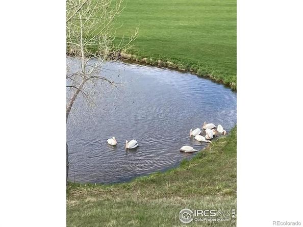 13755 Troon Court, Broomfield CO 80023