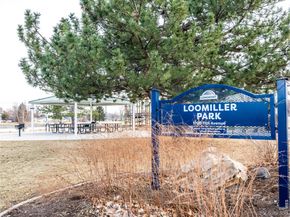 927 Hover Ridge Circle, Longmont CO 80501