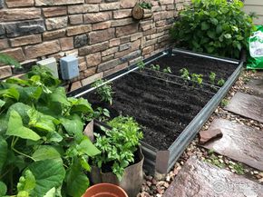 927 Hover Ridge Circle, Longmont CO 80501