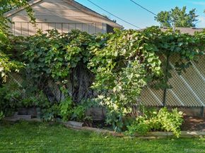 1241 S Lamar Street, Lakewood CO 80232