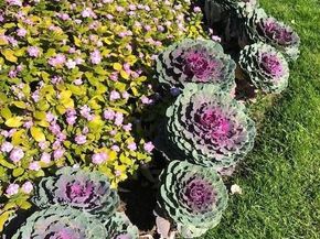 690 S Alton Way 6C, Denver CO 80247