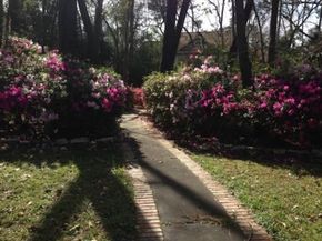27 Thornhill Oaks Drive, Houston TX 77015