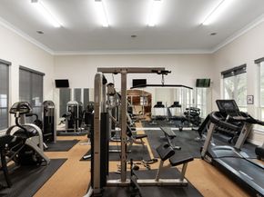 9103 Creekstone Lake Drive, Houston TX 77054