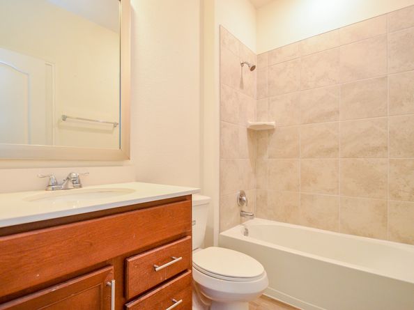 11614 Moonstruck Lane, Houston TX 77048