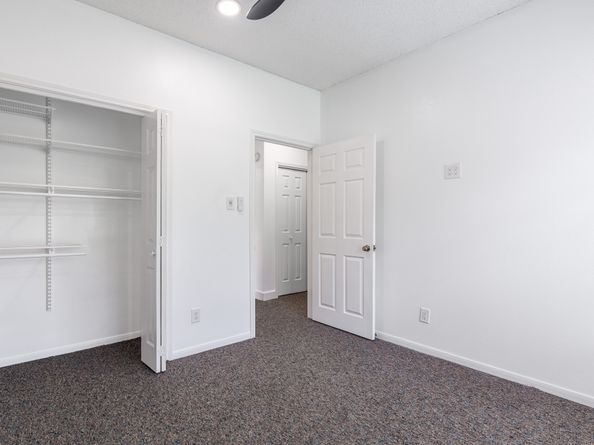 19102 Lookout Mountain Lane, Katy TX 77449