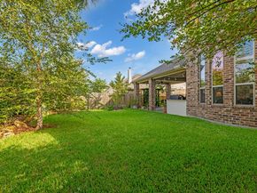 25203 Gaddis Oaks Drive, Spring TX 77389