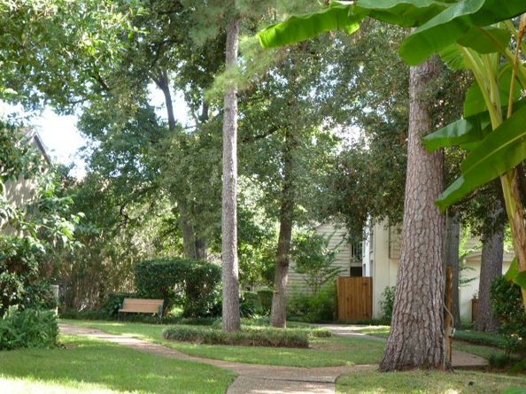 2100 Tanglewilde Street 250, Houston TX 77063