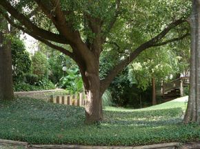 2100 Tanglewilde Street 250, Houston TX 77063