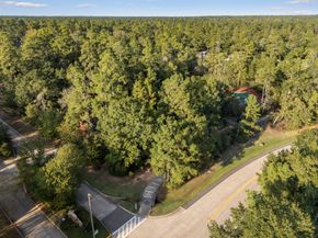 38 N Dragonwood Place, Spring TX 77381