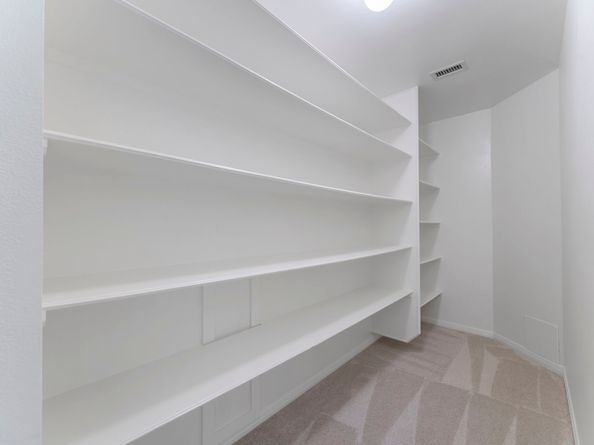 38 N Dragonwood Place, Spring TX 77381