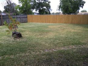 505 Evanston Street, Houston TX 77015