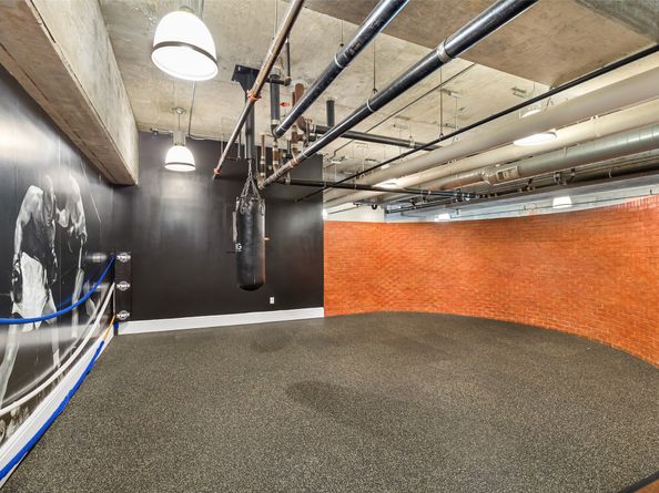 5925 Almeda Road 11901, Houston TX 77004