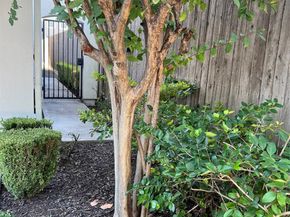 5731 Larkin Street B, Houston TX 77007