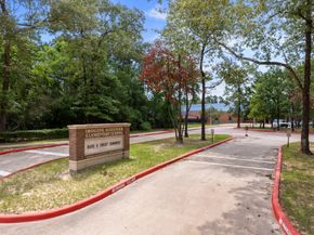 2514 Ellis Park Lane, Conroe TX 77304