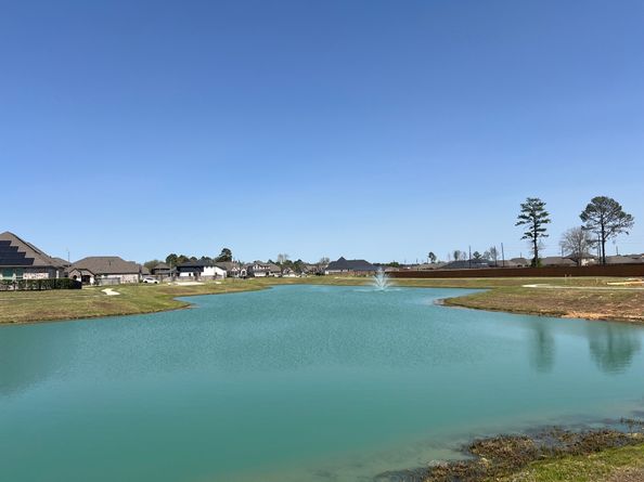 2334 Forest Flower Way, Tomball TX 77375