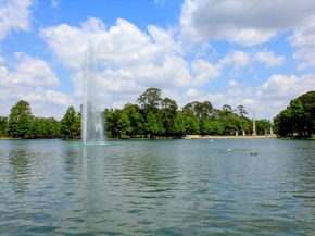 4211 Charleston Street, Houston TX 77021