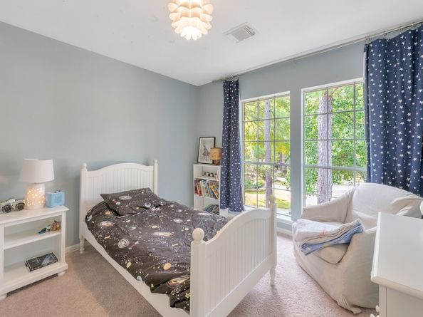 10 Merit Woods Place, The Woodlands TX 77382