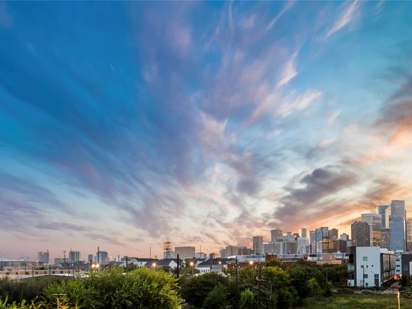 808 Paige Street, Houston TX 77003