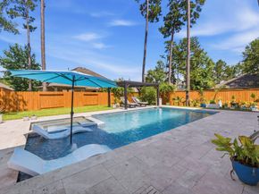 19 W Lasting Spring Circle, Spring TX 77389