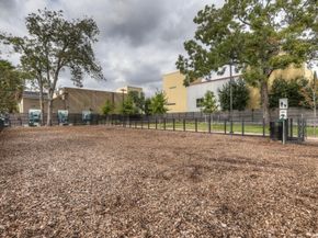 3023 Austin Street, Houston TX 77004
