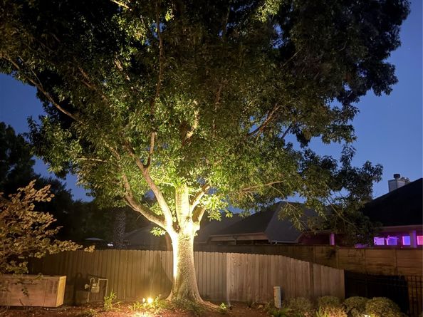 15 New Oak Trail, Humble TX 77346