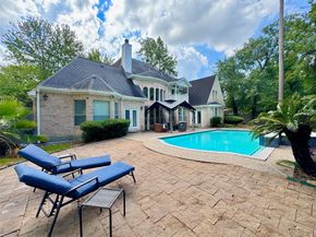 59 Acorn Cluster Court, The Woodlands TX 77381
