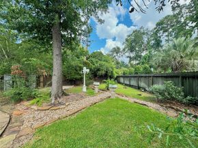 59 Acorn Cluster Court, The Woodlands TX 77381