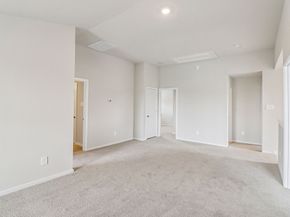 17431 Butterfly Orchid Lane, Waller TX 77484