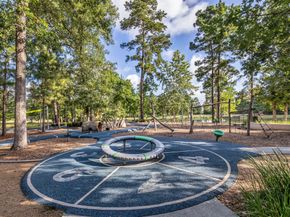 16 Clearview Terrace Place, Tomball TX 77375
