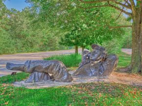19 Craggy Rock Street, The Woodlands TX 77381