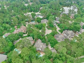 19 Craggy Rock Street, The Woodlands TX 77381