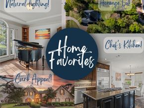 27223 Blue Cedar Lane, Spring TX 77386