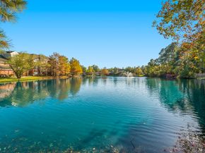 158 N Magnolia Pond Place 158E, The Woodlands TX 77381