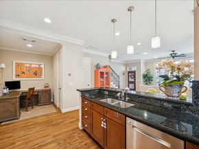 38 Riva Row, The Woodlands TX 77380