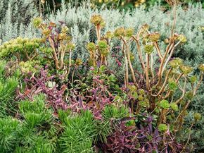 816 Hyperion Avenue, Los Angeles CA 90029