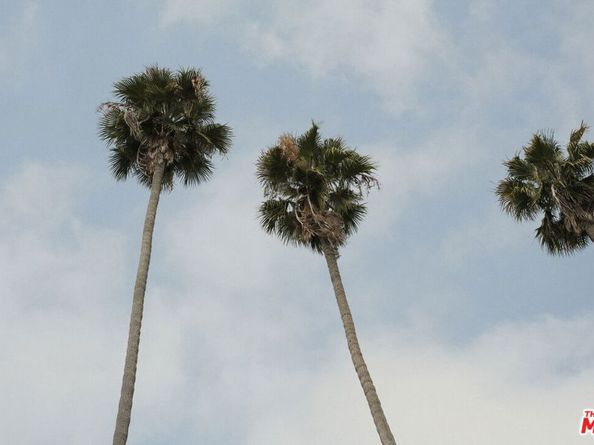 3480 2nd Avenue, Los Angeles CA 90018