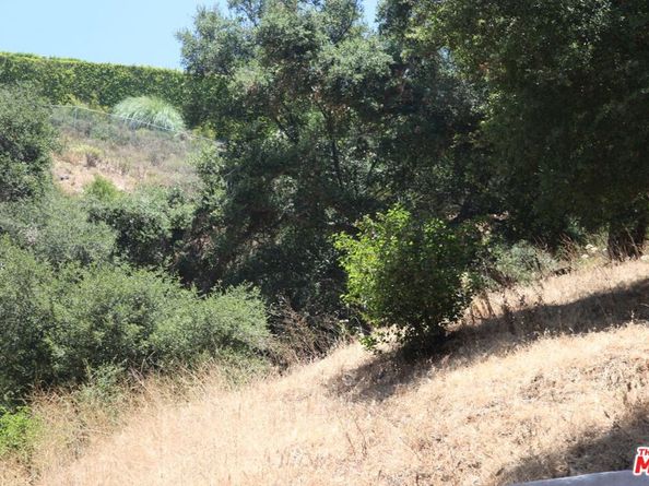 2534 Benedict Canyon Drive, Beverly Hills CA 90210