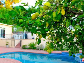 11502 Dona Teresa Drive, Studio City CA 91604