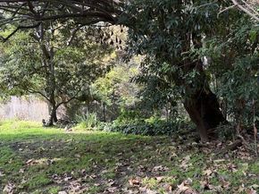 643 Hightree Road, Santa Monica CA 90402