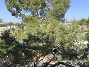 3205 Raintree Circle, Culver City CA 90230