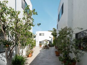 2500 Abbot Kinney Boulevard 11, Venice CA 90291